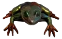 Prismatic Leap Resin Frog