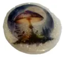 Moonlit Mushroom Phone Pop