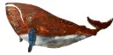 Hand-crafted Whale from Driftwood 