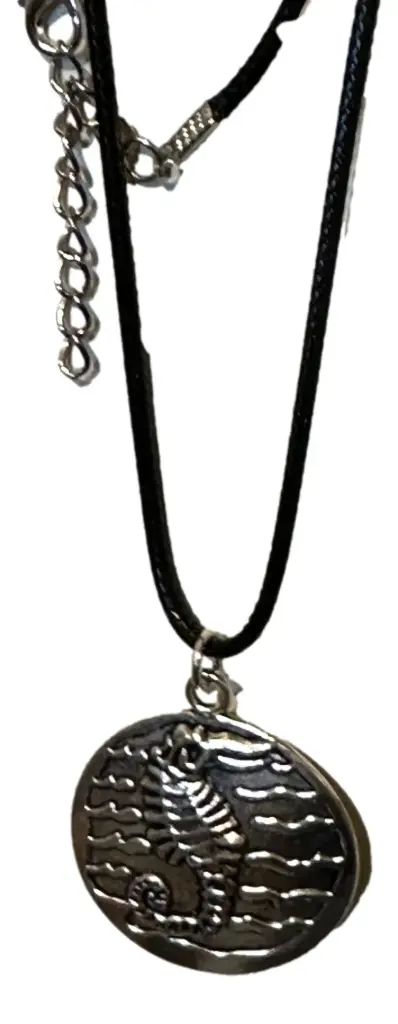 Black Cord Seahorse Silver-tone Medallion Necklace