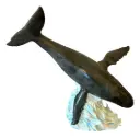 Ceramic Breaching Hump Back Whale