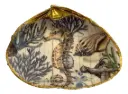 Decoupaged Clam Shell - Seahorse