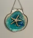 Starfish in Water on Scallop Shell