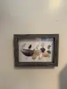 Framed Birds on Shells Sea Glass Picture 