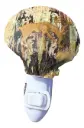 Luminous Birch Haven Shell Nightlight 