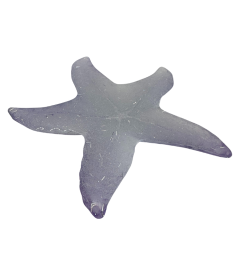 [344110] Rich Colour-shifting Blue Resin Starfish (copy)