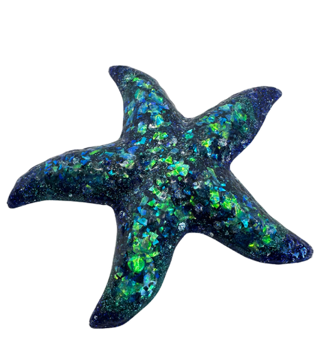 [344127] Enchanted Seafarer's Star