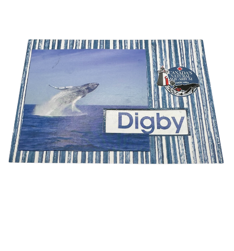 [18221] Breaching Whale Note Card 