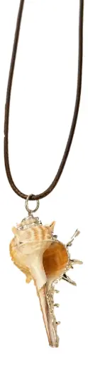 Silver-tone Edged Seashell Corded Necklace