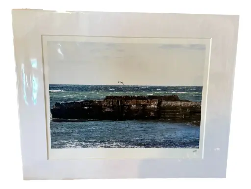 [103007] Seagull Over a Breaker - Hand-matted Photograph 11" x 14"